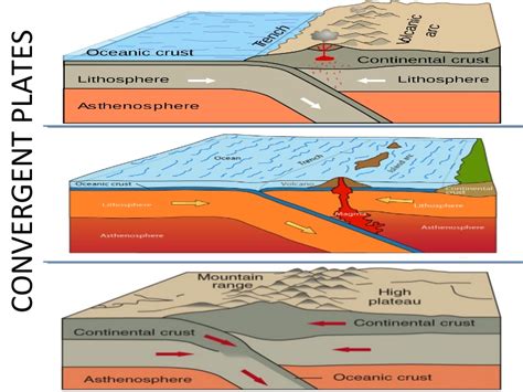 5.7: Theory of Plate Tectonics .